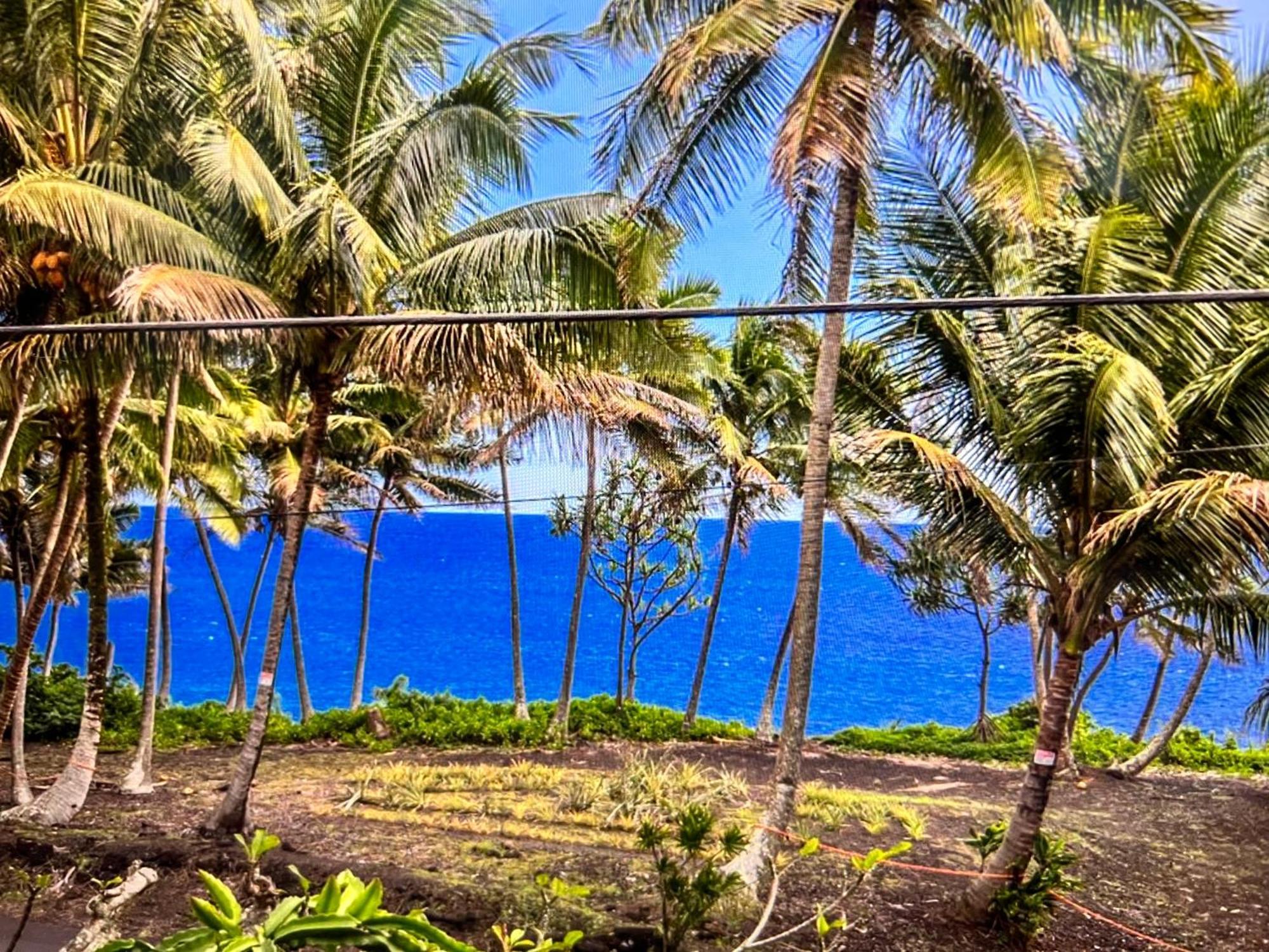 The Bali House And Cottage At Kehena Beach Hawaii ภายนอก รูปภาพ