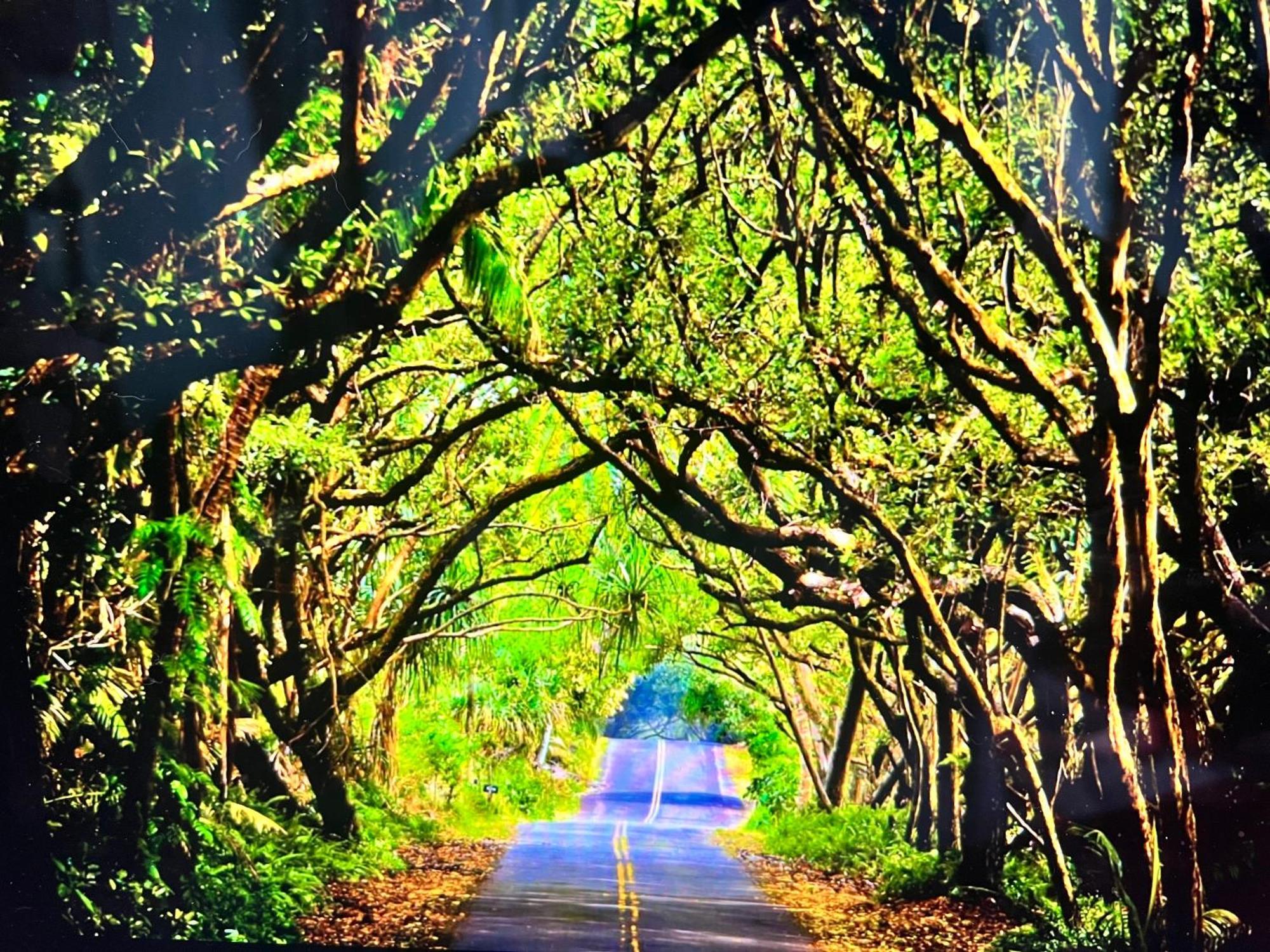 The Bali House And Cottage At Kehena Beach Hawaii ภายนอก รูปภาพ